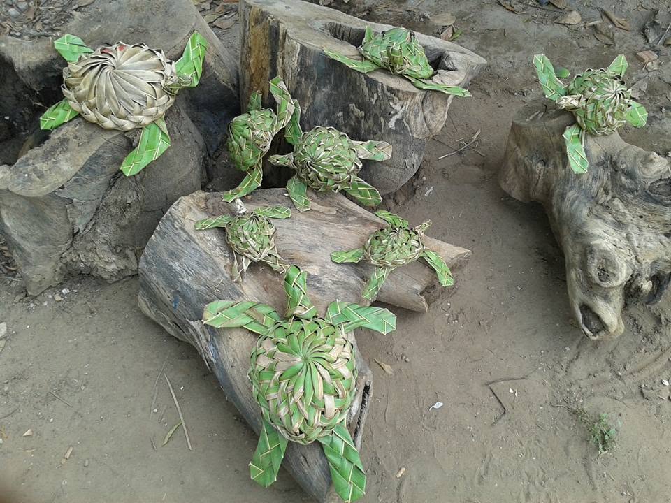Tartarugas trançadas em palha